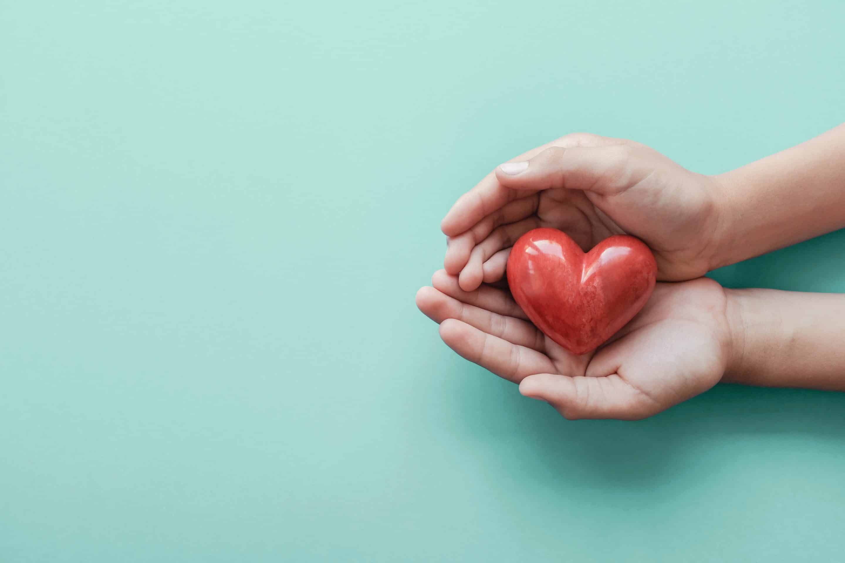 hands holding red heart, health care, love, organ donation, wellbeing family insurance,CSR concept, world heart day, world health day, hope, gratitude, praying concept